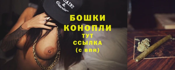 таблы Белокуриха