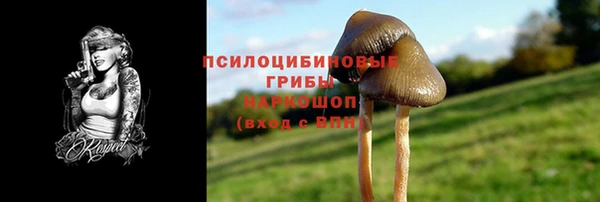 ГАЛЛЮЦИНОГЕННЫЕ ГРИБЫ Белоозёрский