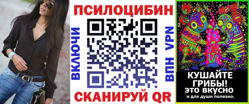Галлюциногенные грибы Psilocybine cubensis  Каспийск 
